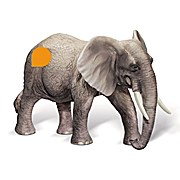 tiptoi Afrika Spielfigur Afrikanischer Elefantenbulle