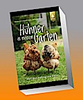 Hühner in meinem Garten