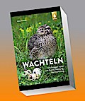 Wachteln