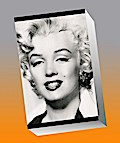 Silver Marilyn. Marilyn Monroe und die Kamera
